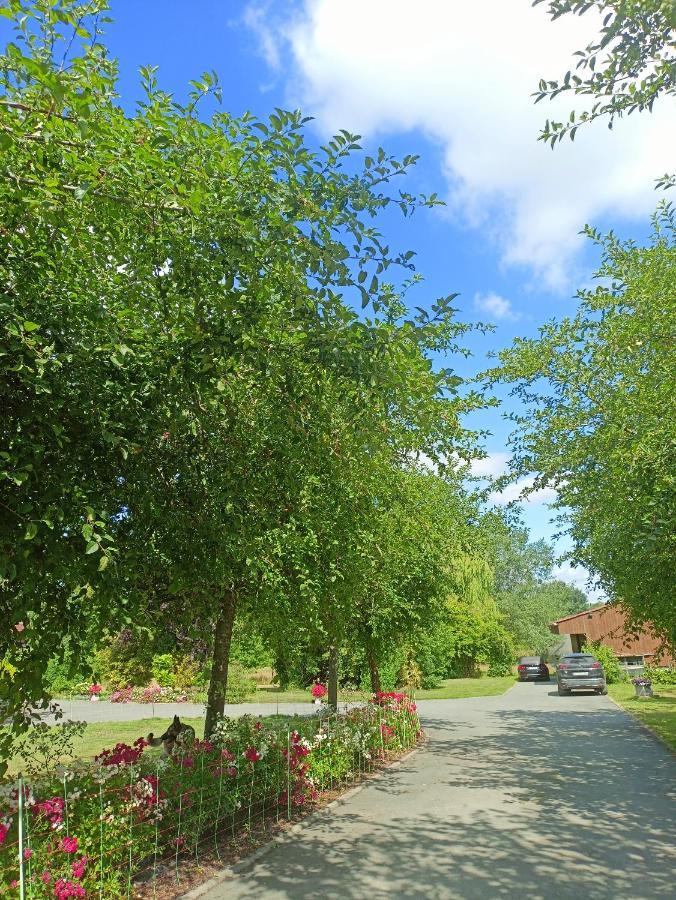 Les Chambres Du Vert Galant Rez De Jardin Verlinghem エクステリア 写真