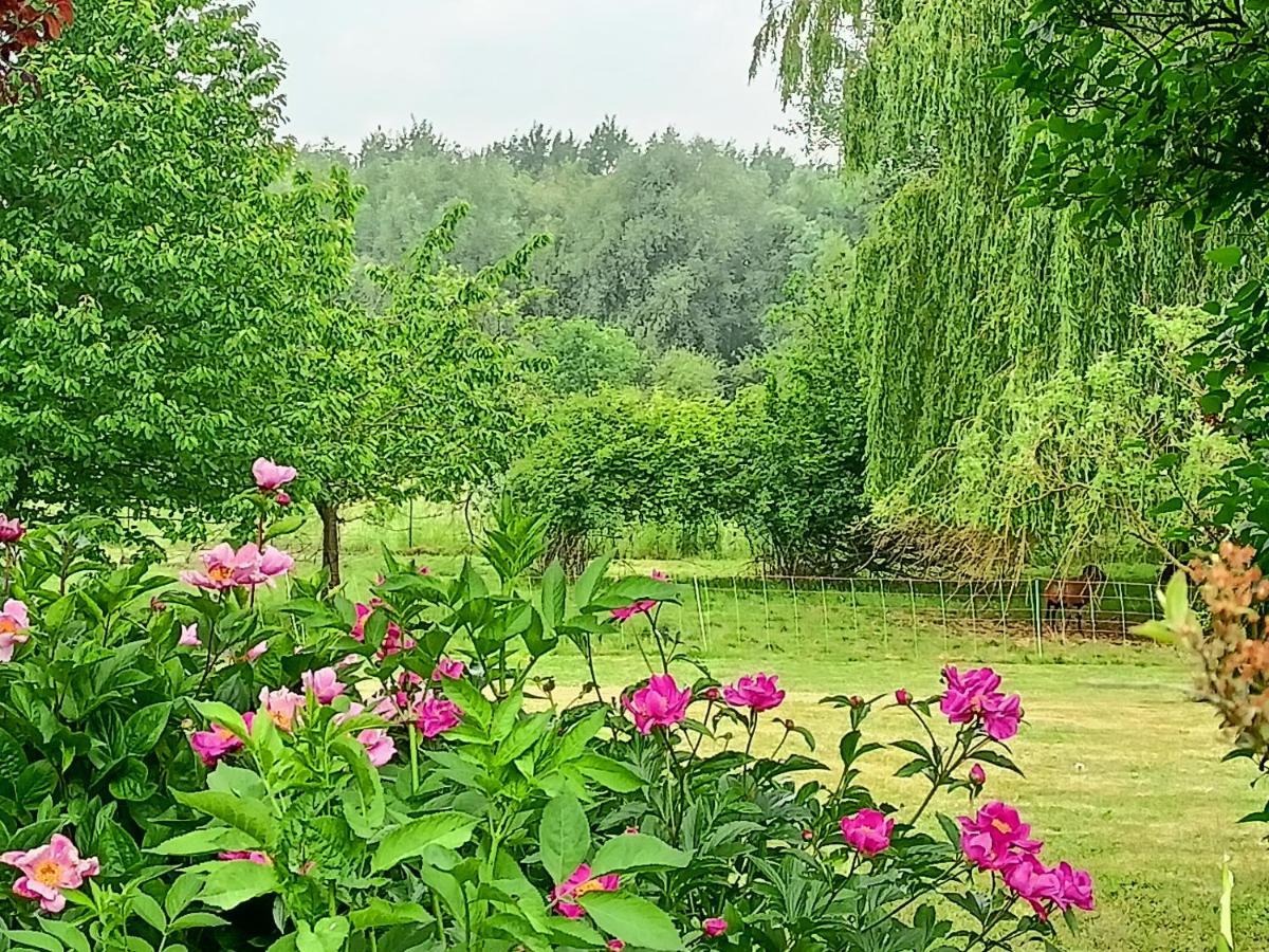 Les Chambres Du Vert Galant Rez De Jardin Verlinghem エクステリア 写真