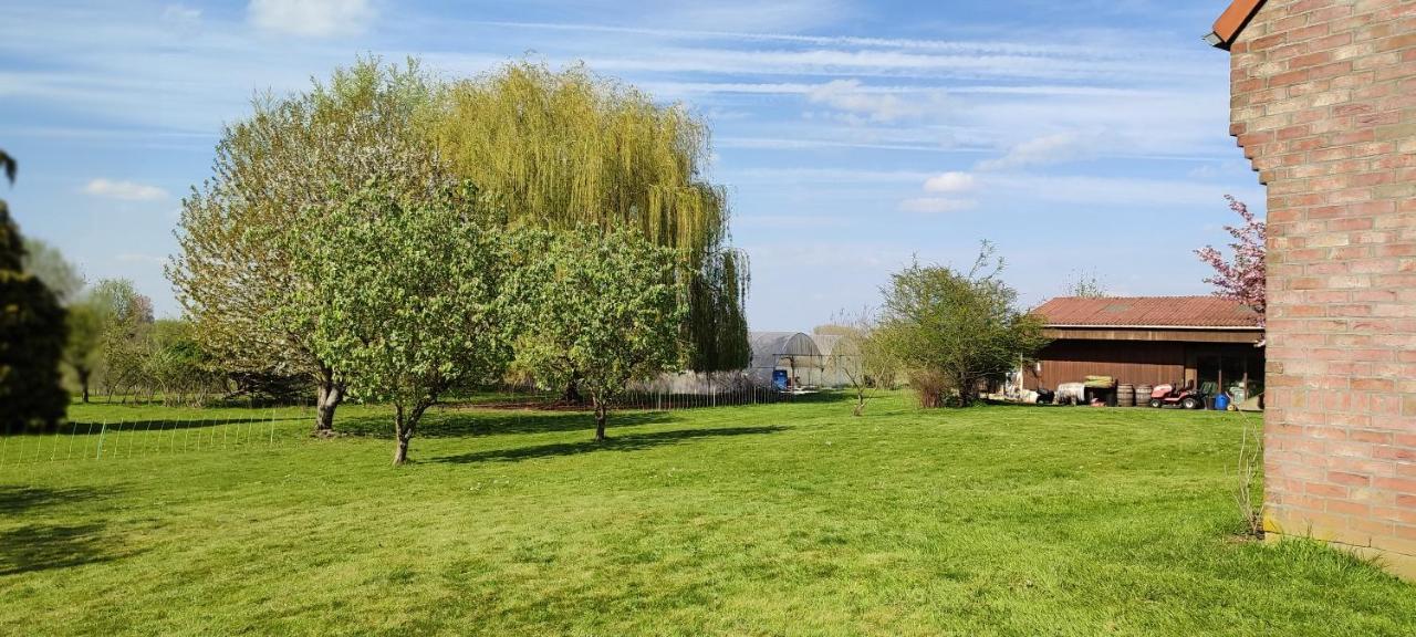 Les Chambres Du Vert Galant Rez De Jardin Verlinghem エクステリア 写真