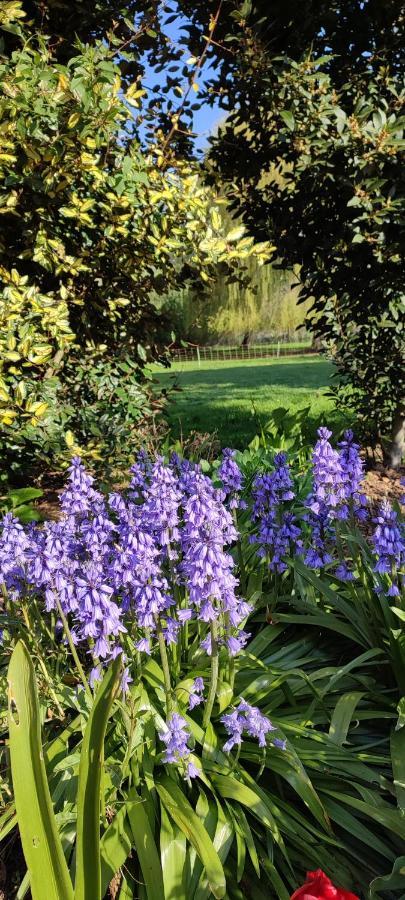 Les Chambres Du Vert Galant Rez De Jardin Verlinghem エクステリア 写真